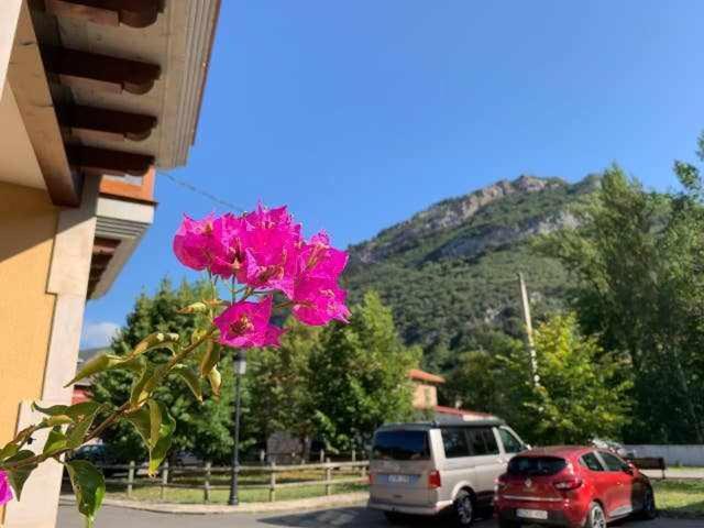 Cumbres De Los Picos Apartamento Buhos Poo  Exterior photo